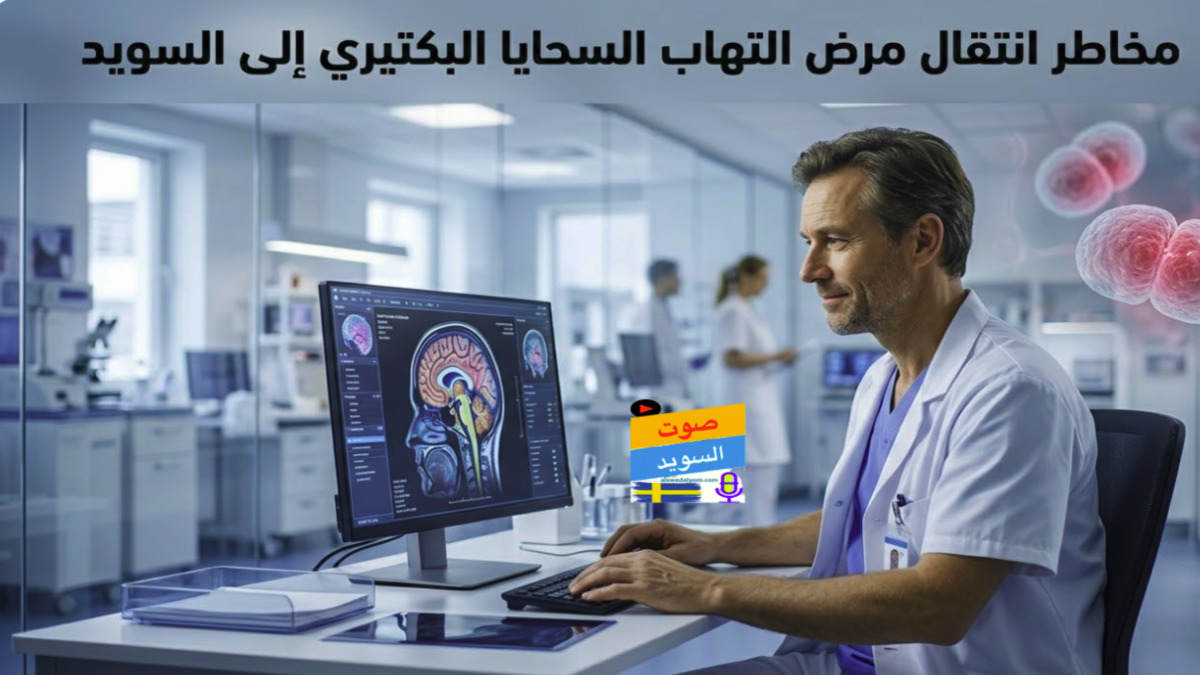 إنفوجرافيك طبي إخباري يظهر طبيبًا في مستشفى سويدي يحلل مسحًا رقميًا للدماغ، مع تصور دقيق لبكتيريا التهاب السحايا المنكورية في الخلفية