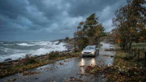 Strong winds and stormy weather disrupt travel along Sweden's coast